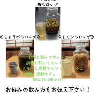 画像255
