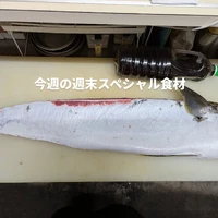 画像371